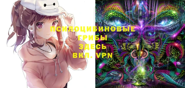 хмурый Куйбышев