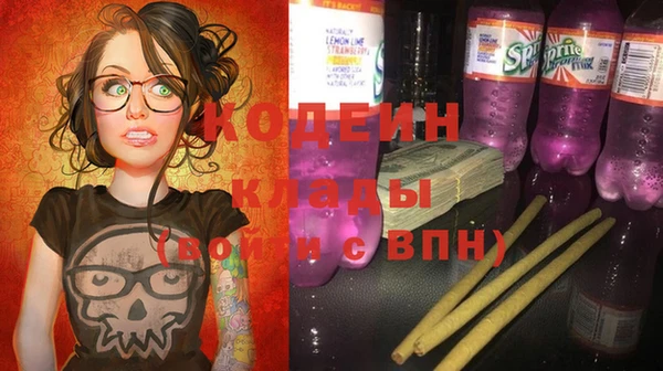 гашик Кулебаки