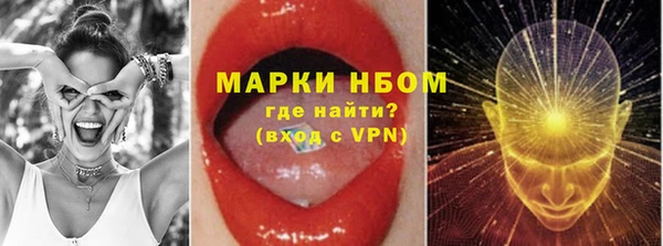 гашик Кулебаки
