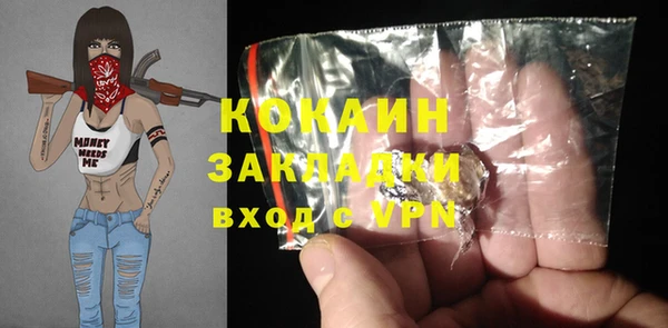 гашик Кулебаки