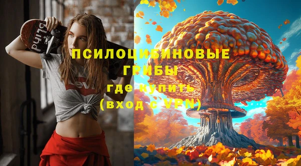 альфа пвп Волгодонск