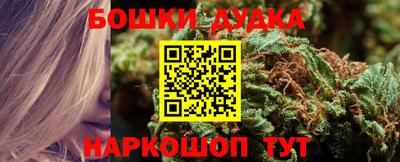 стафф Донецк