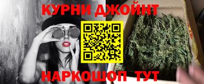 стафф Донецк