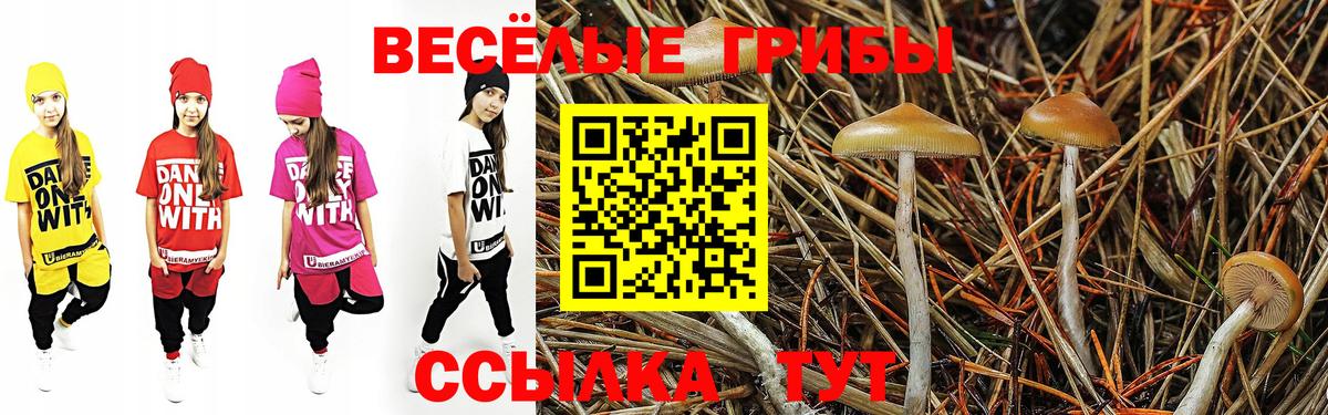 Псилоцибиновые грибы GOLDEN TEACHER Карачаевск