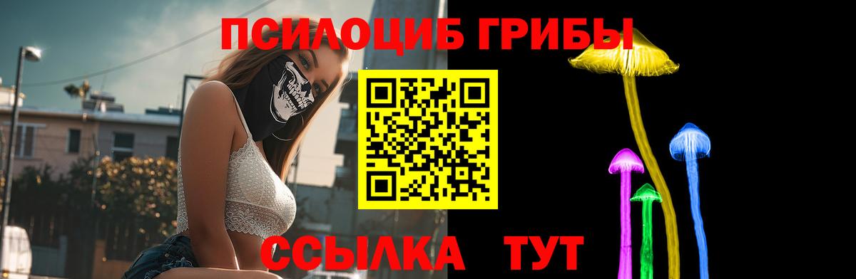 продажа наркотиков  Вход с VPN  Карачаевск  Псилоцибиновые грибы GOLDEN TEACHER  Псилоцибиновые грибы прущие грибы 