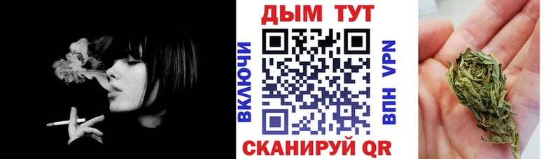 даркнет какой сайт  где найти   Карачаевск  Шишки марихуана ГИДРОПОН 